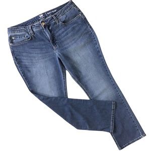 Lee Riders Straight Leg Jeans Womens Plus Size 16P Petite High Rise Stretch Fade